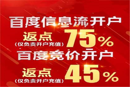 行业领先企业的SEM竞价专员工作实录